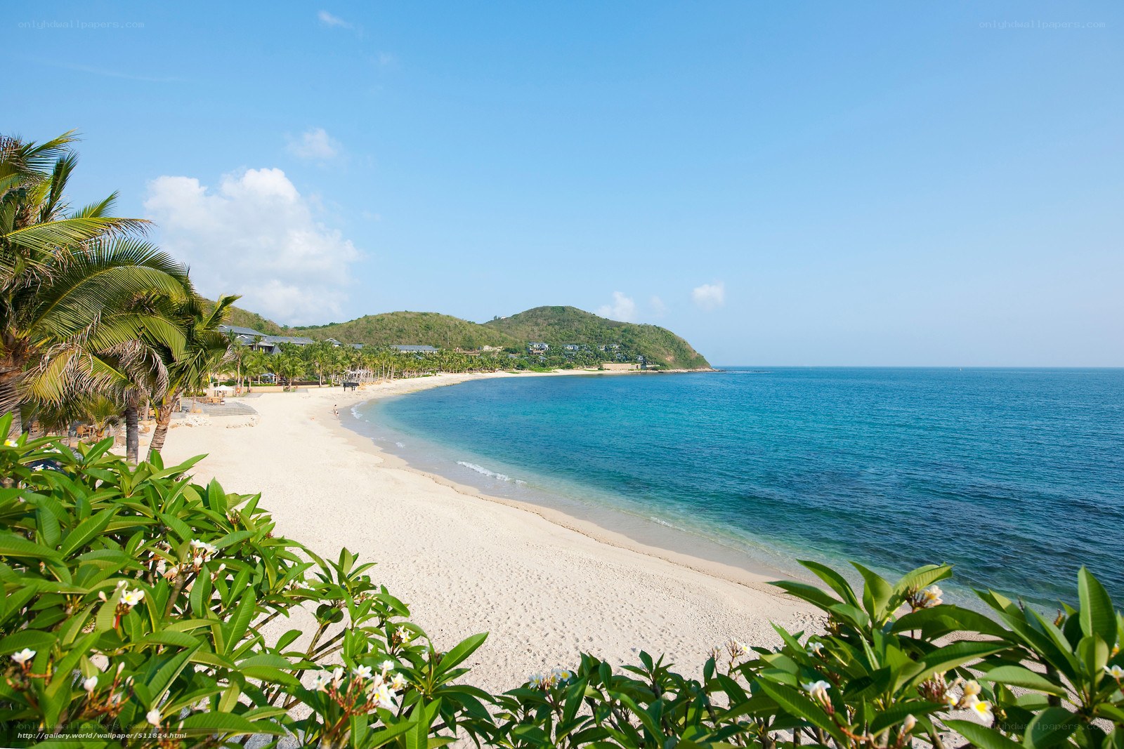 tropical beach with palm trees