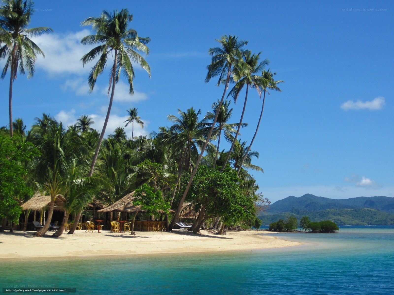 tropical beach with palm trees