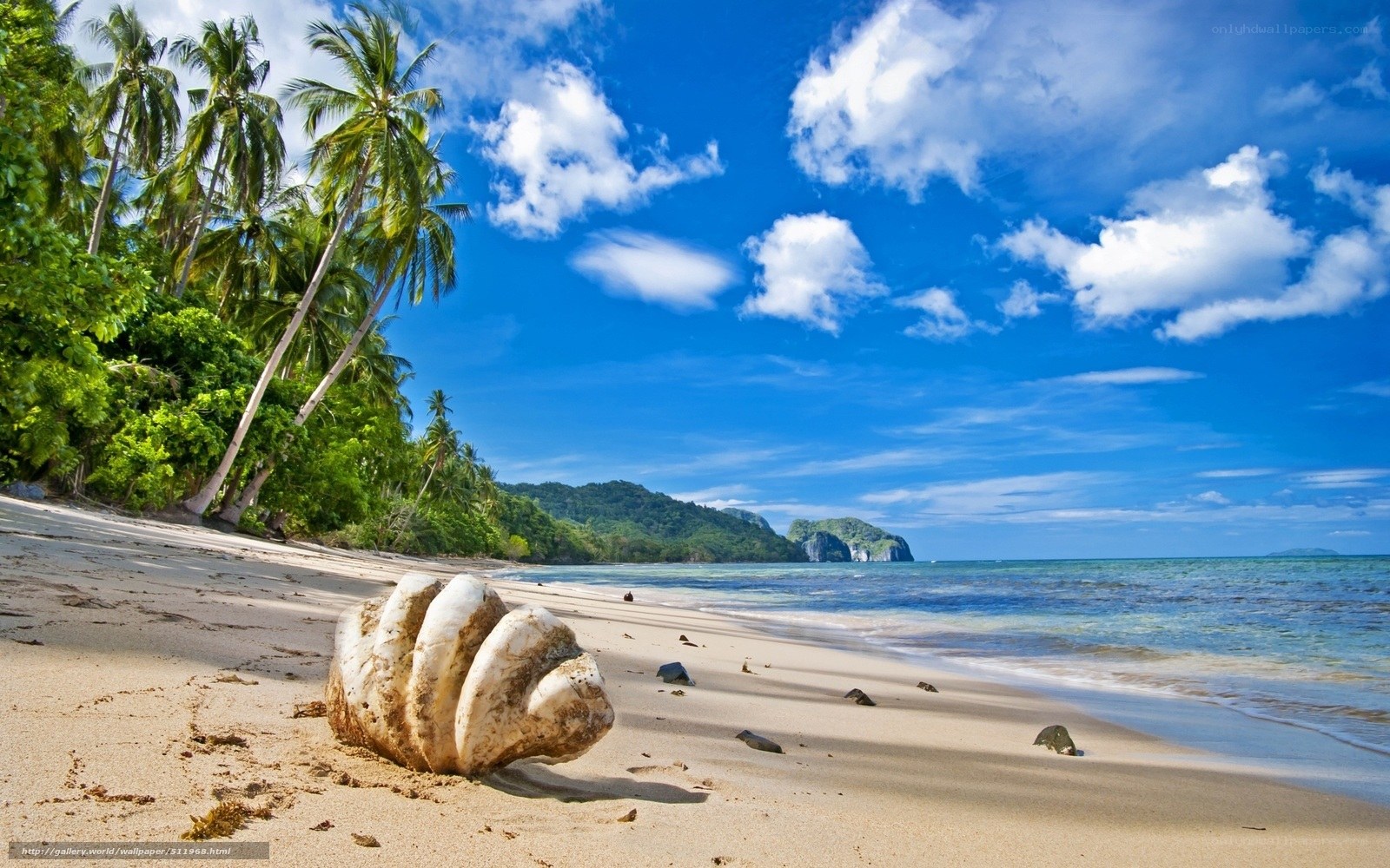 Tropical beach with palm trees
