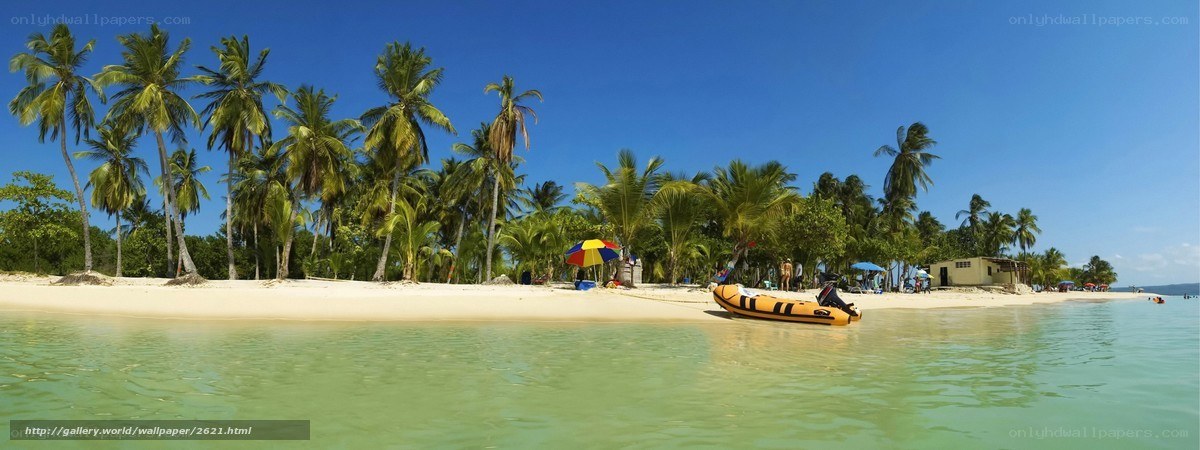 tropical beach with palm trees