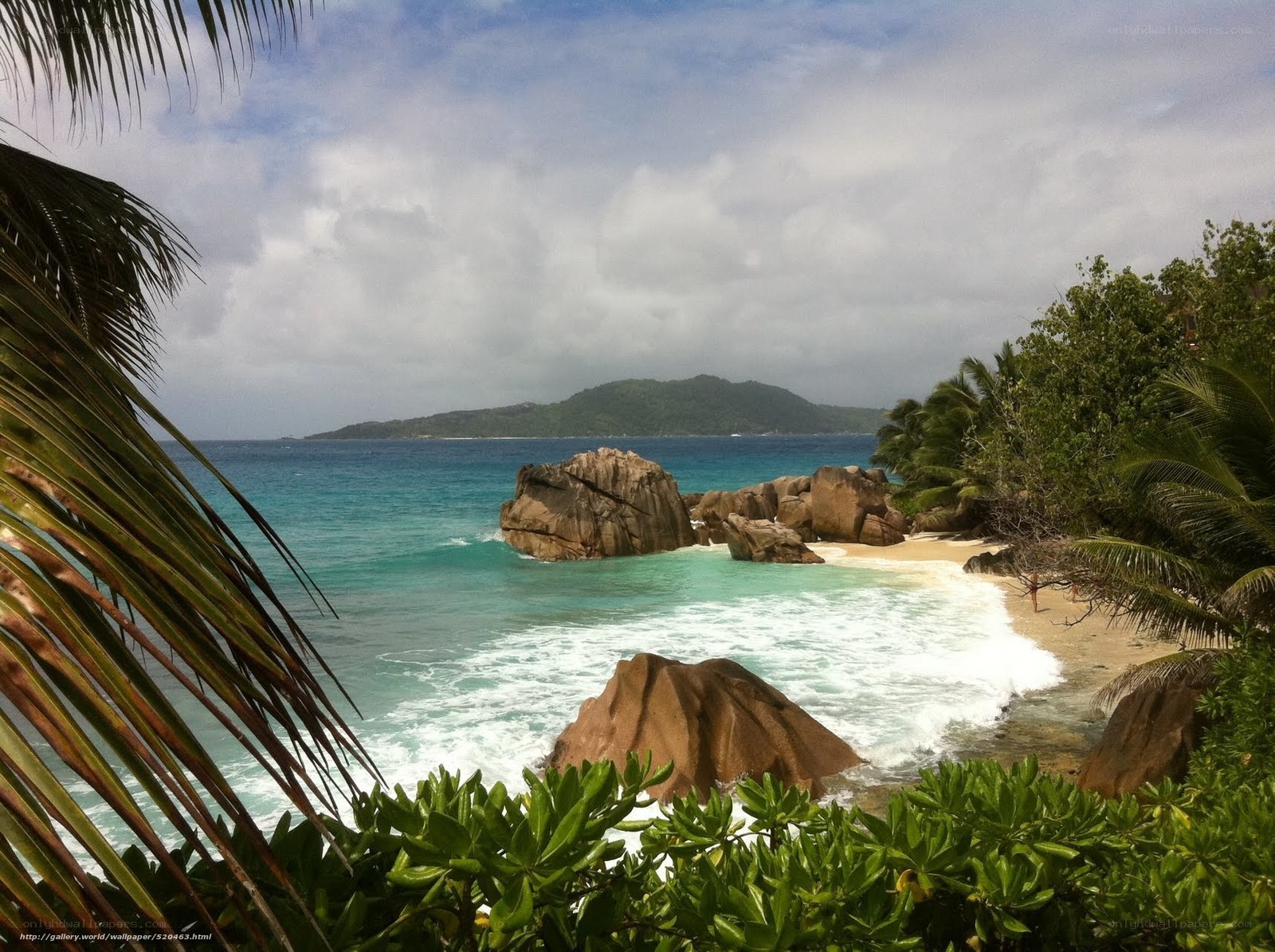 tropical beach with palm trees