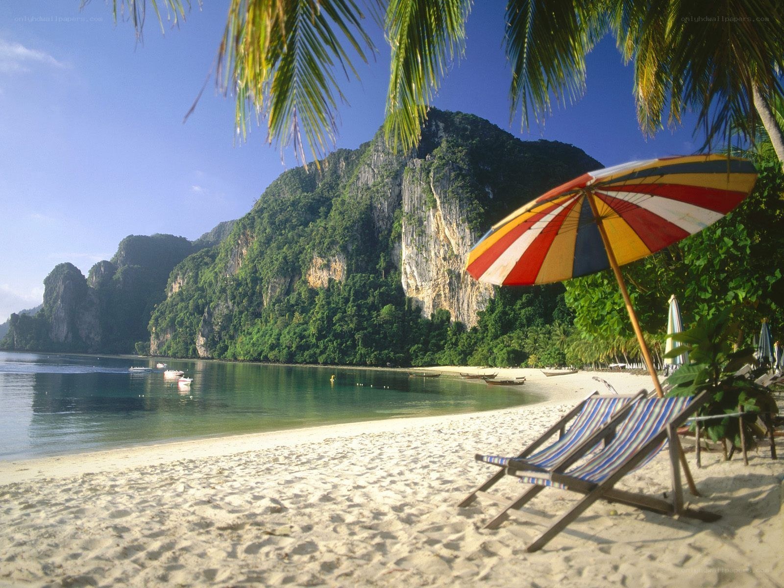 tropical beach with palm trees