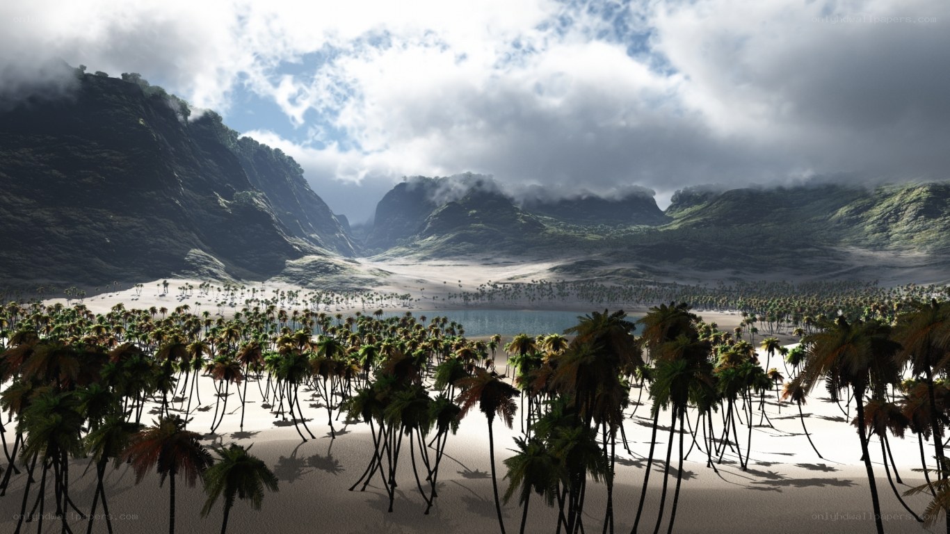 tropical beach with palm trees