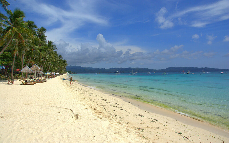 tropical beach with palm trees