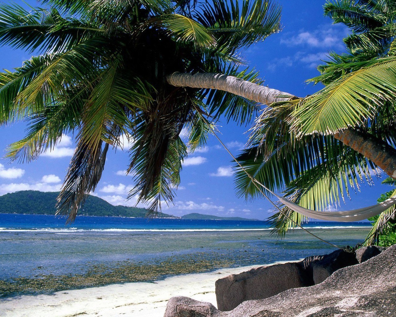 Tropical beach with palm trees