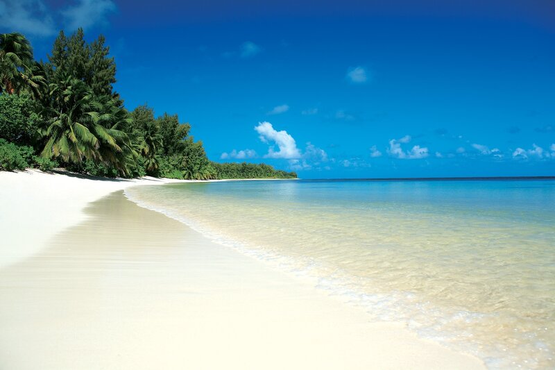 tropical beach with palm trees