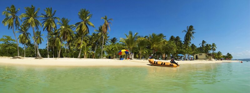 tropical beach with palm trees