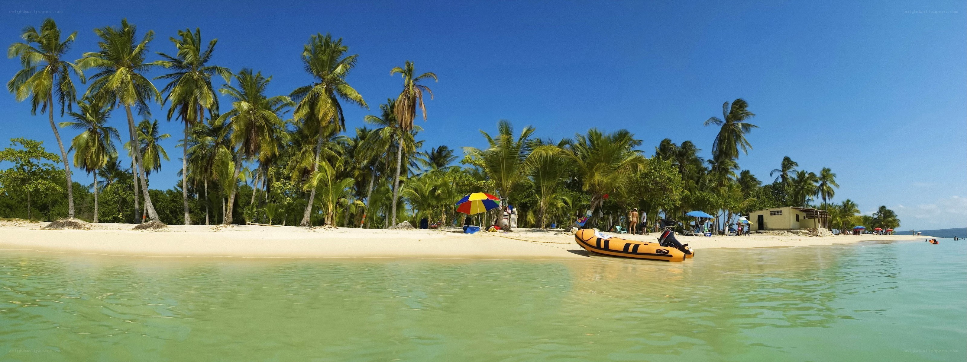 tropical beach with palm trees