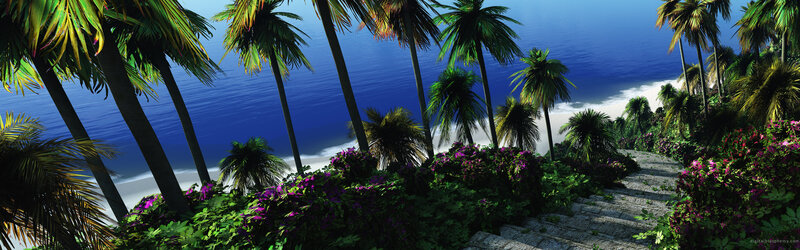 Tropical beach with palm trees