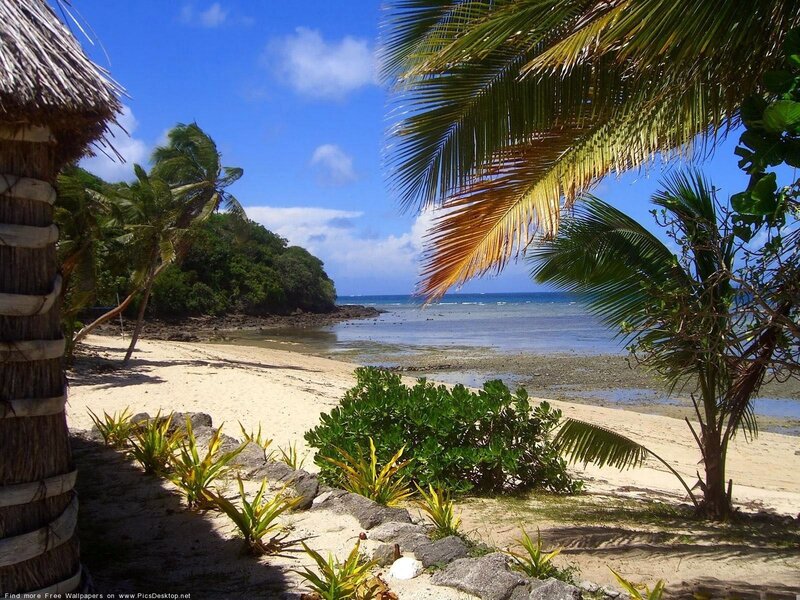 tropical beach with palm trees