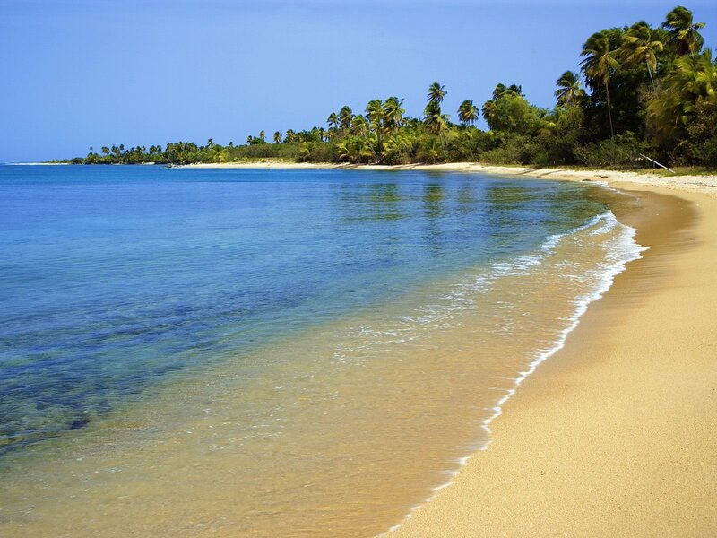 tropical beach with palm trees