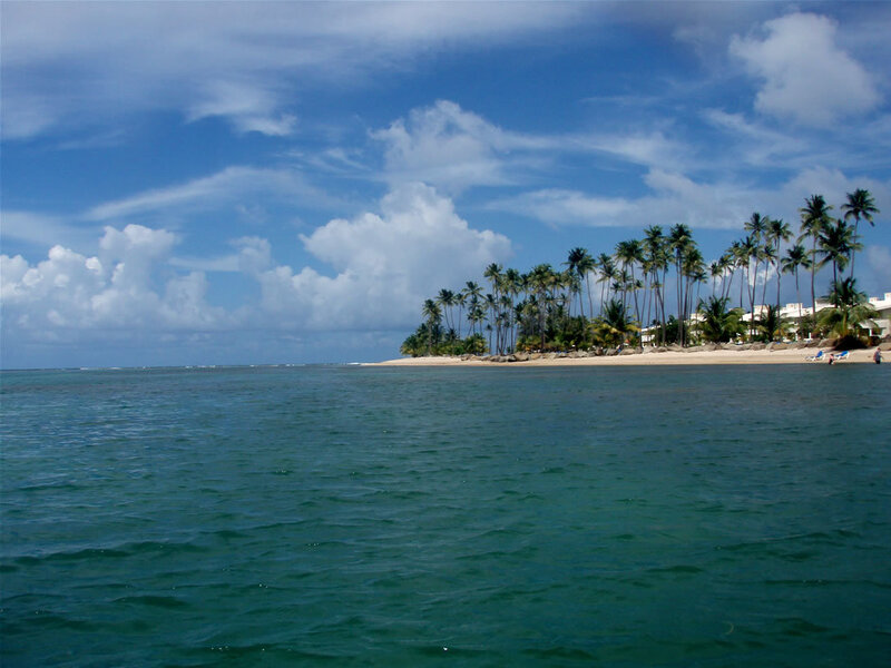 tropical beach with palm trees