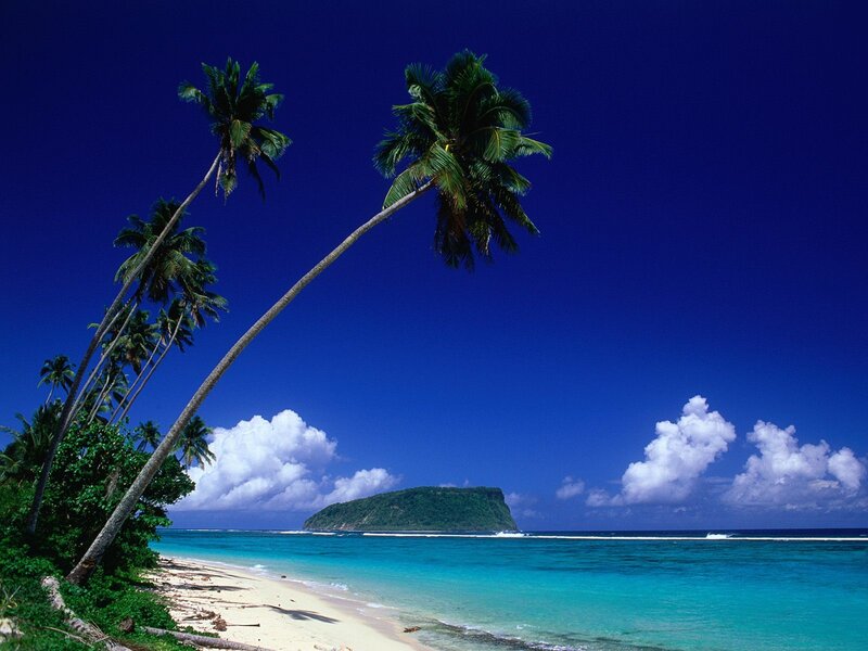 Tropical beach with palm trees