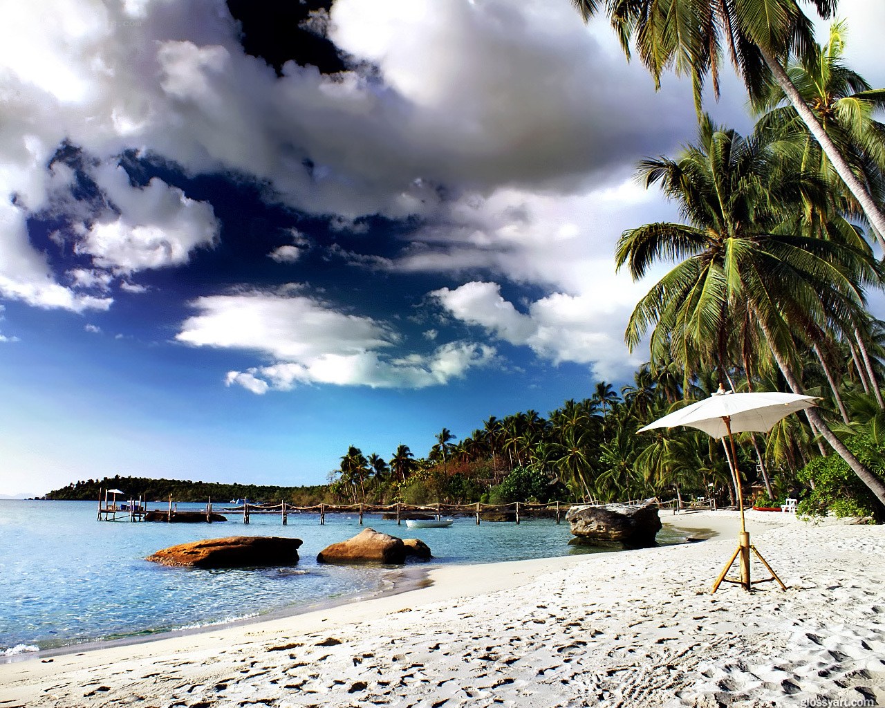 tropical beach with palm trees
