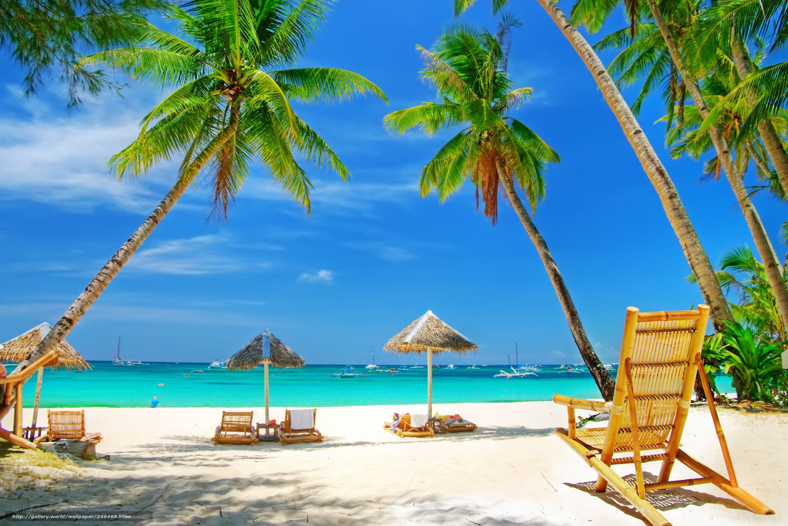 tropical beach with palm trees