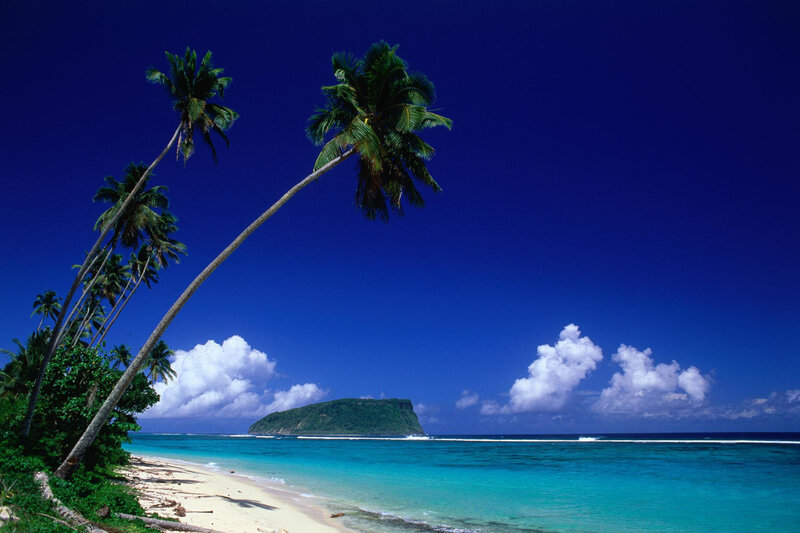 Tropical beach with palm trees
