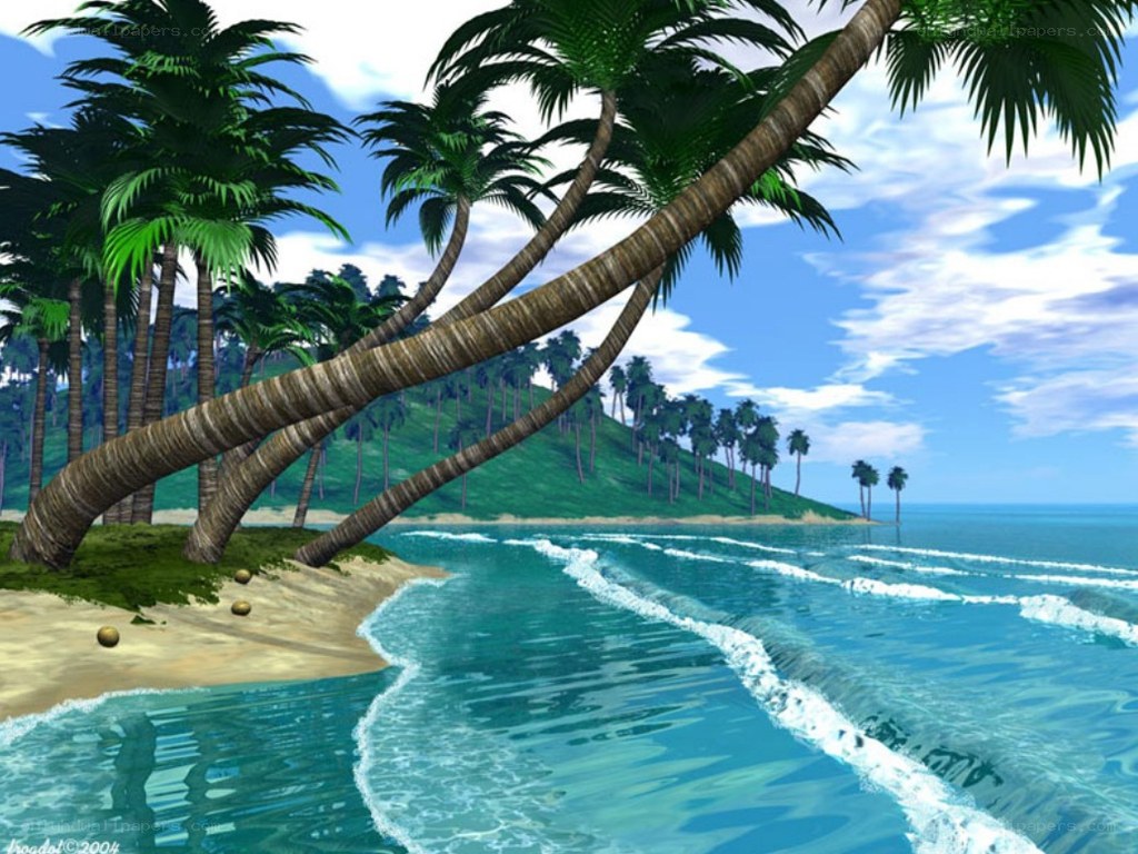 tropical beach with palm trees