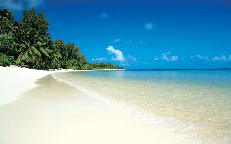 tropical beach with palm trees