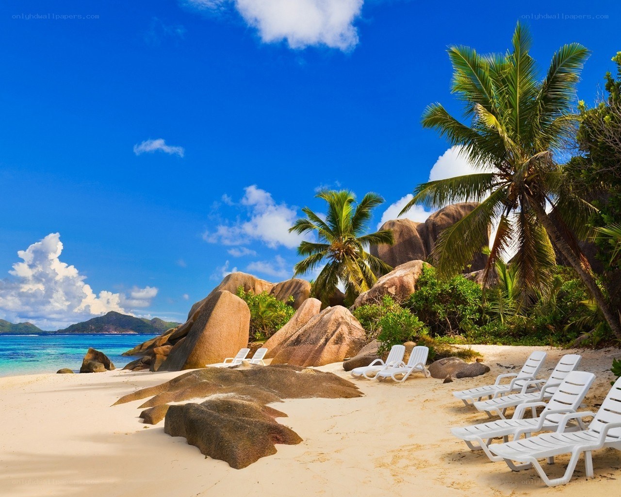 tropical beach with palm trees
