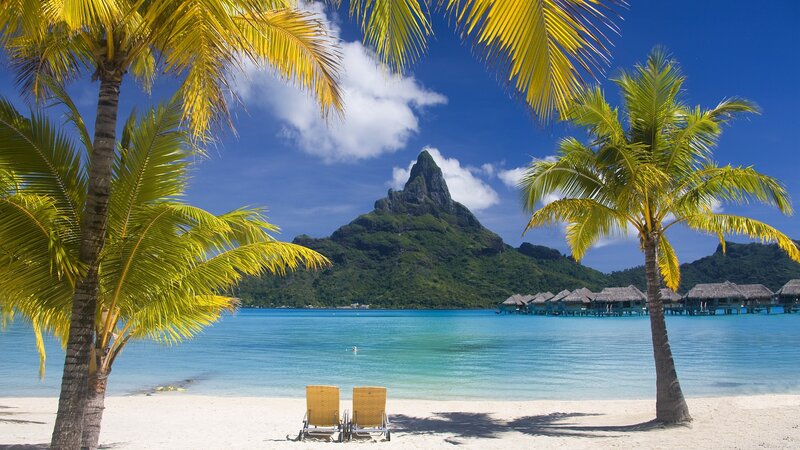 tropical beach with palm trees