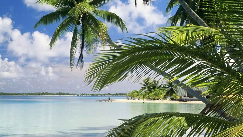 Tropical beach with palm trees