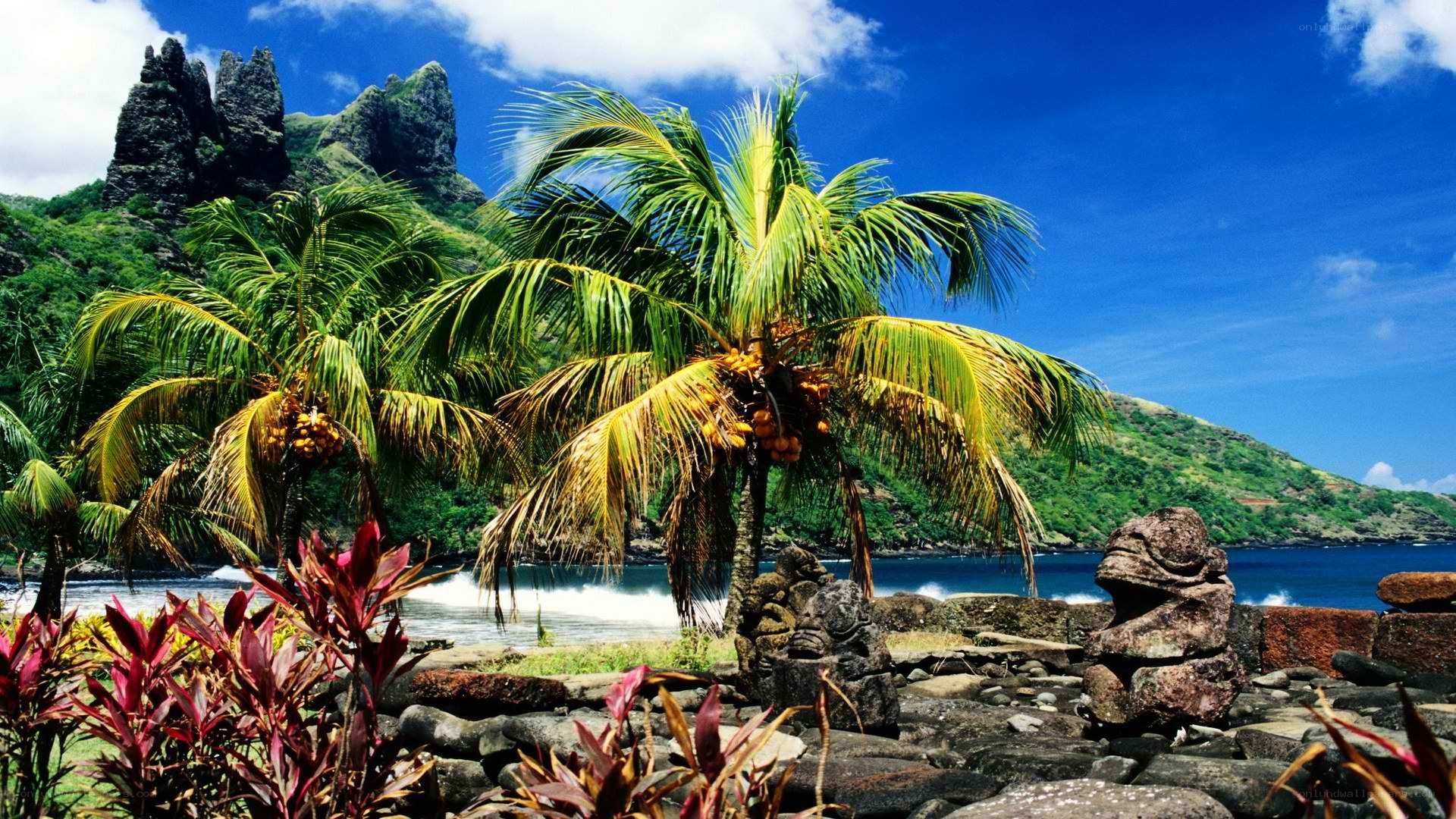 Tropical beach with palm trees