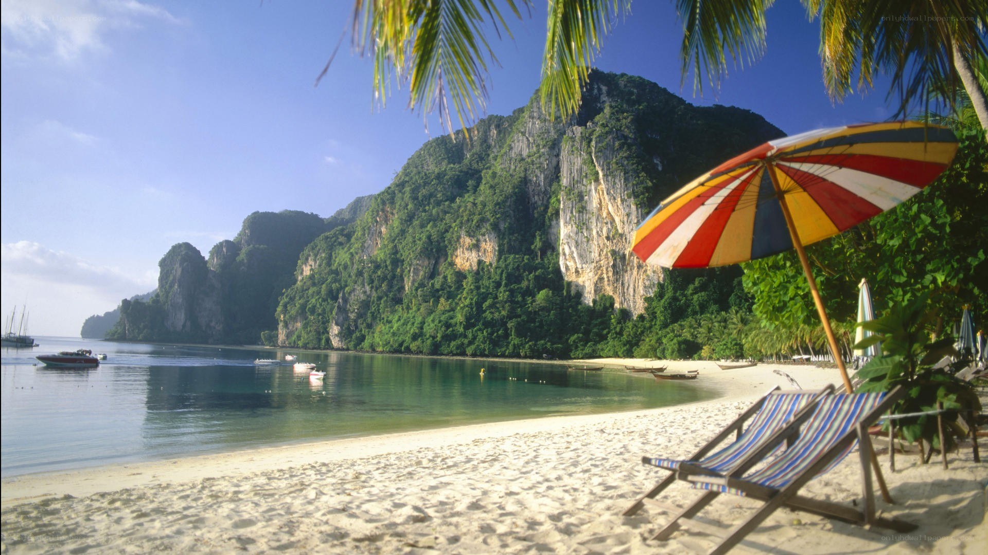 tropical beach with palm trees