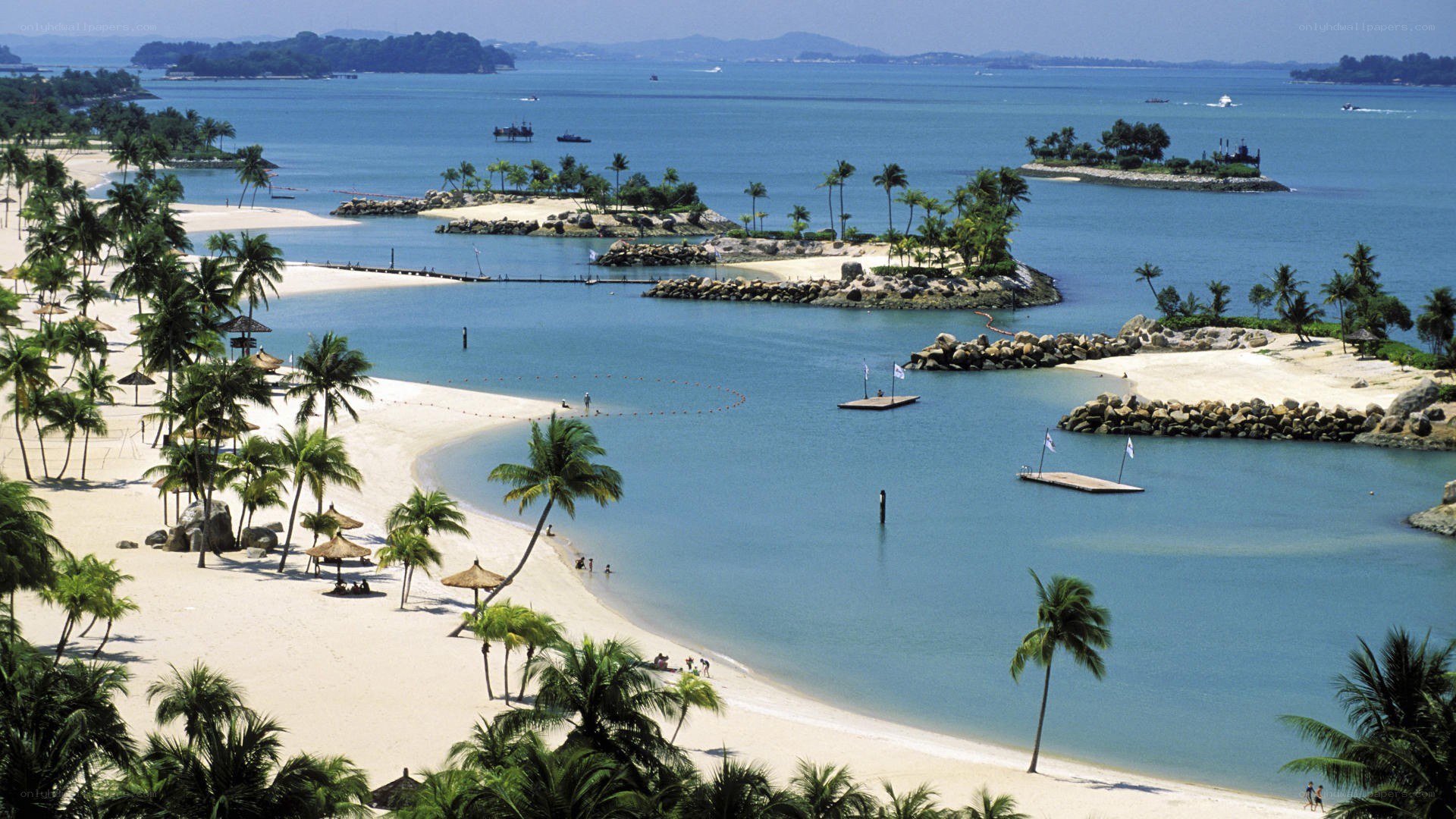 tropical beach with palm trees