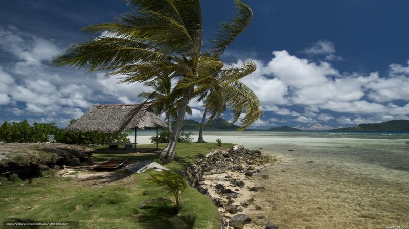 Tropical beach with palm trees