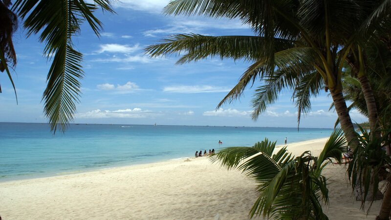 tropical beach with palm trees