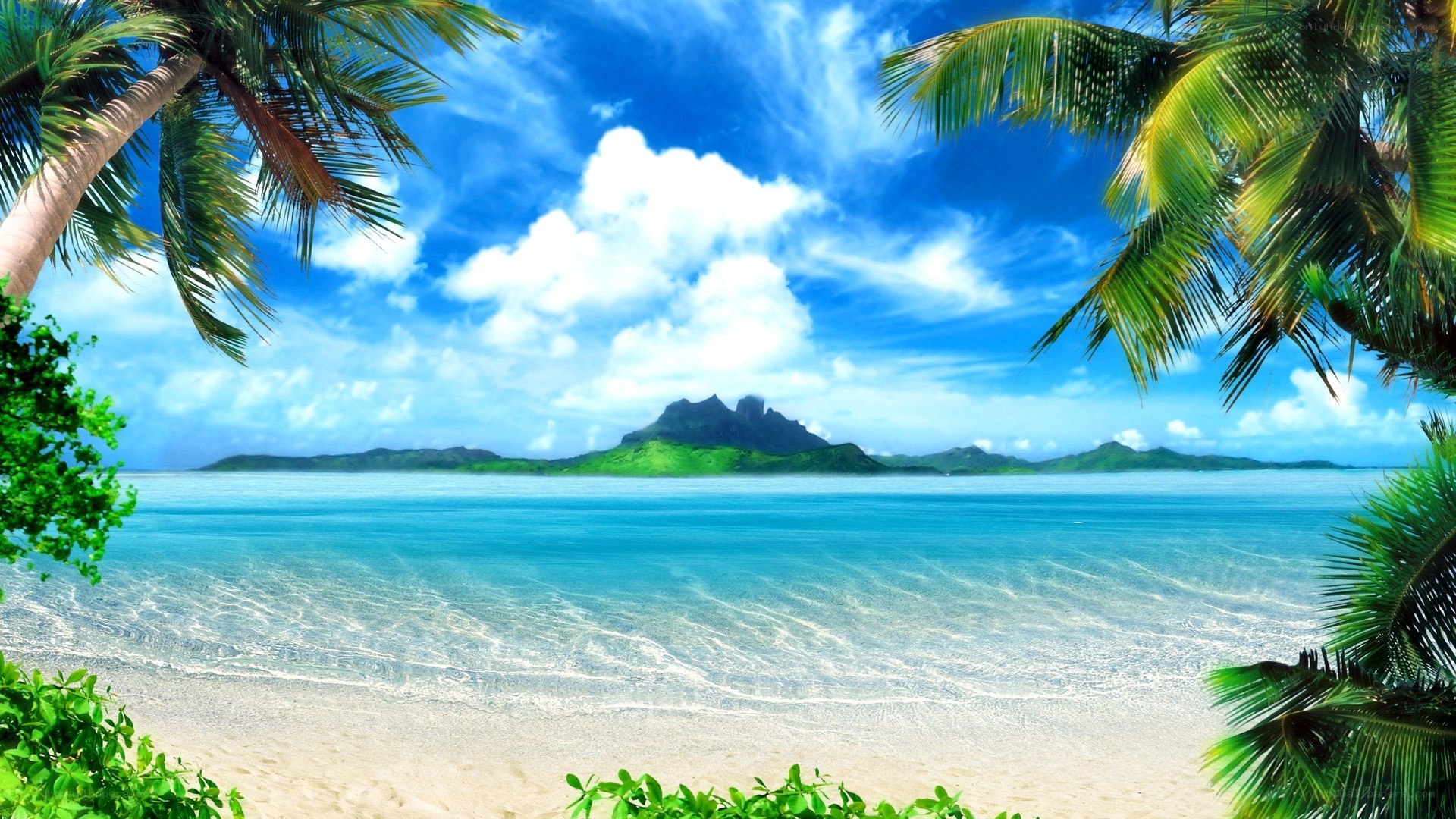 Tropical beach with palm trees