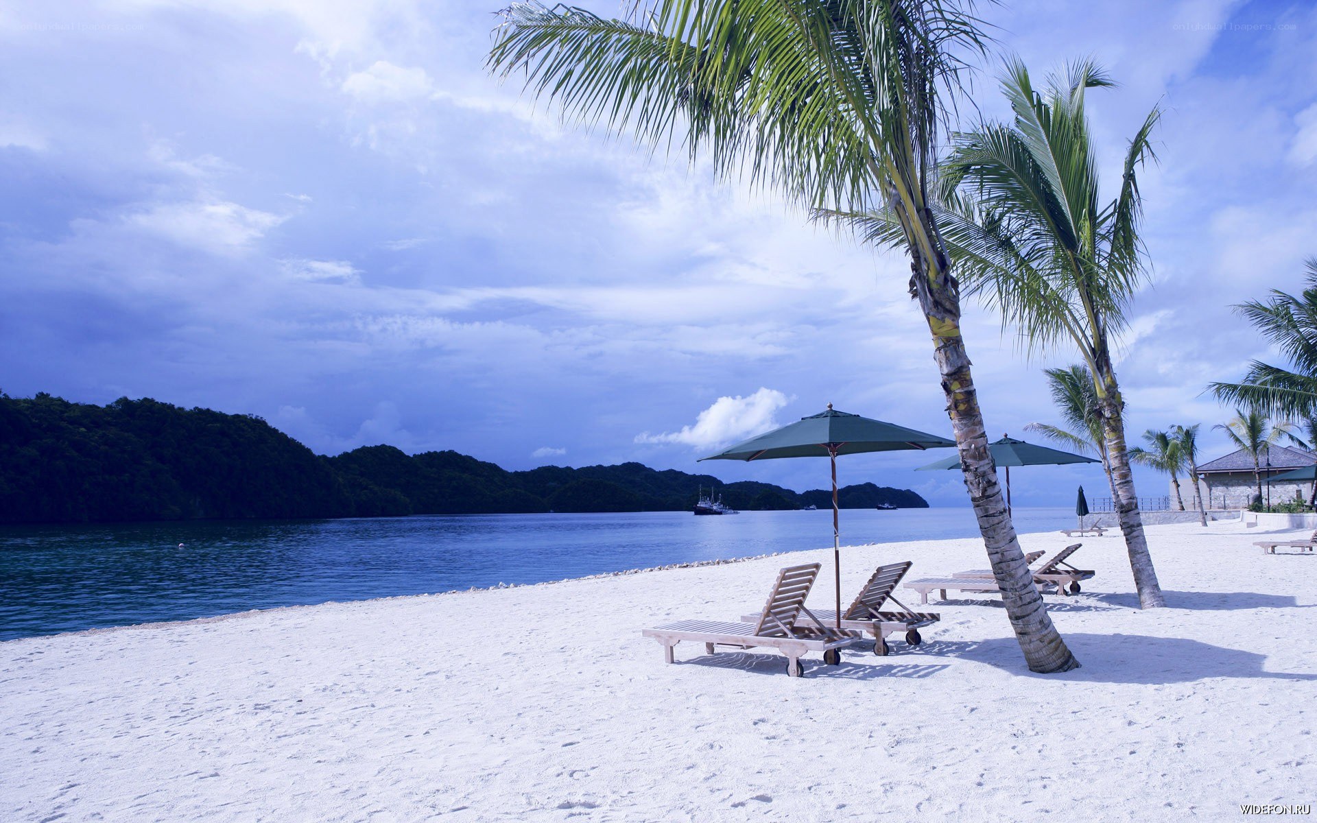Tropical beach with palm trees