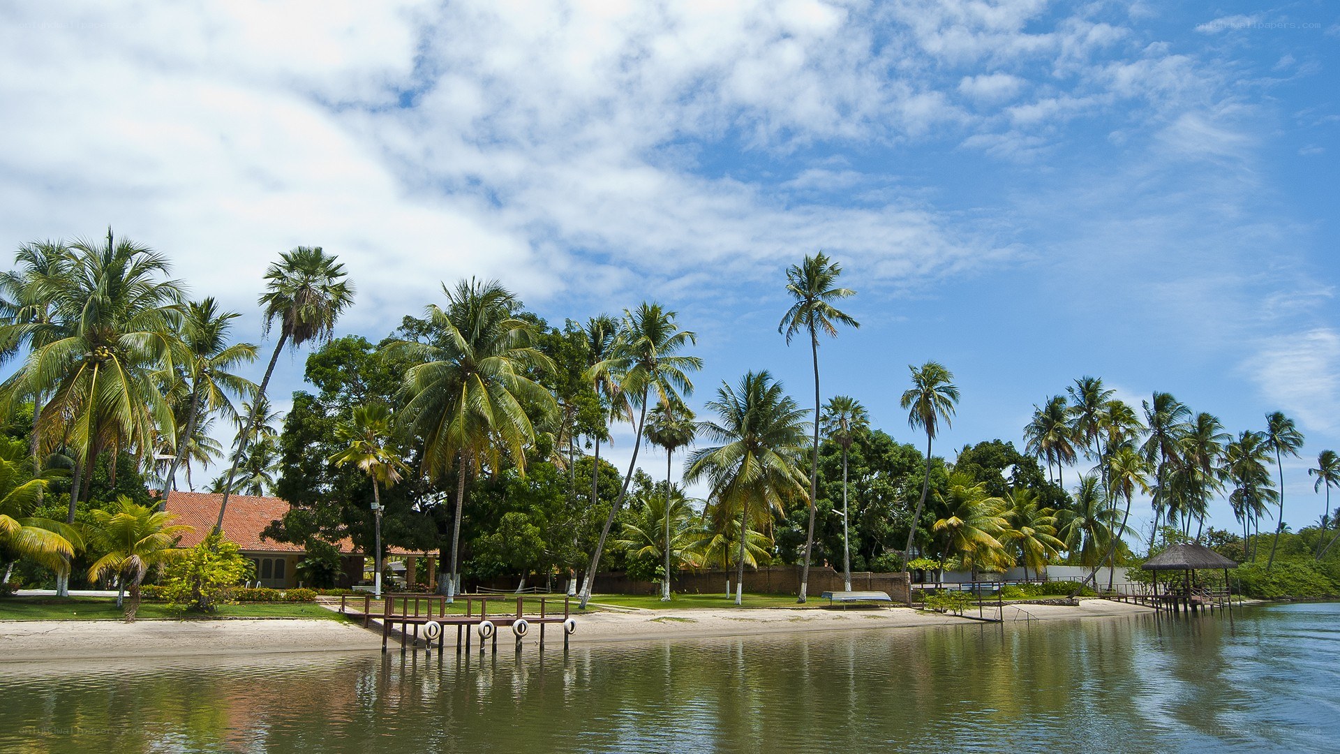 tropical beach with palm trees