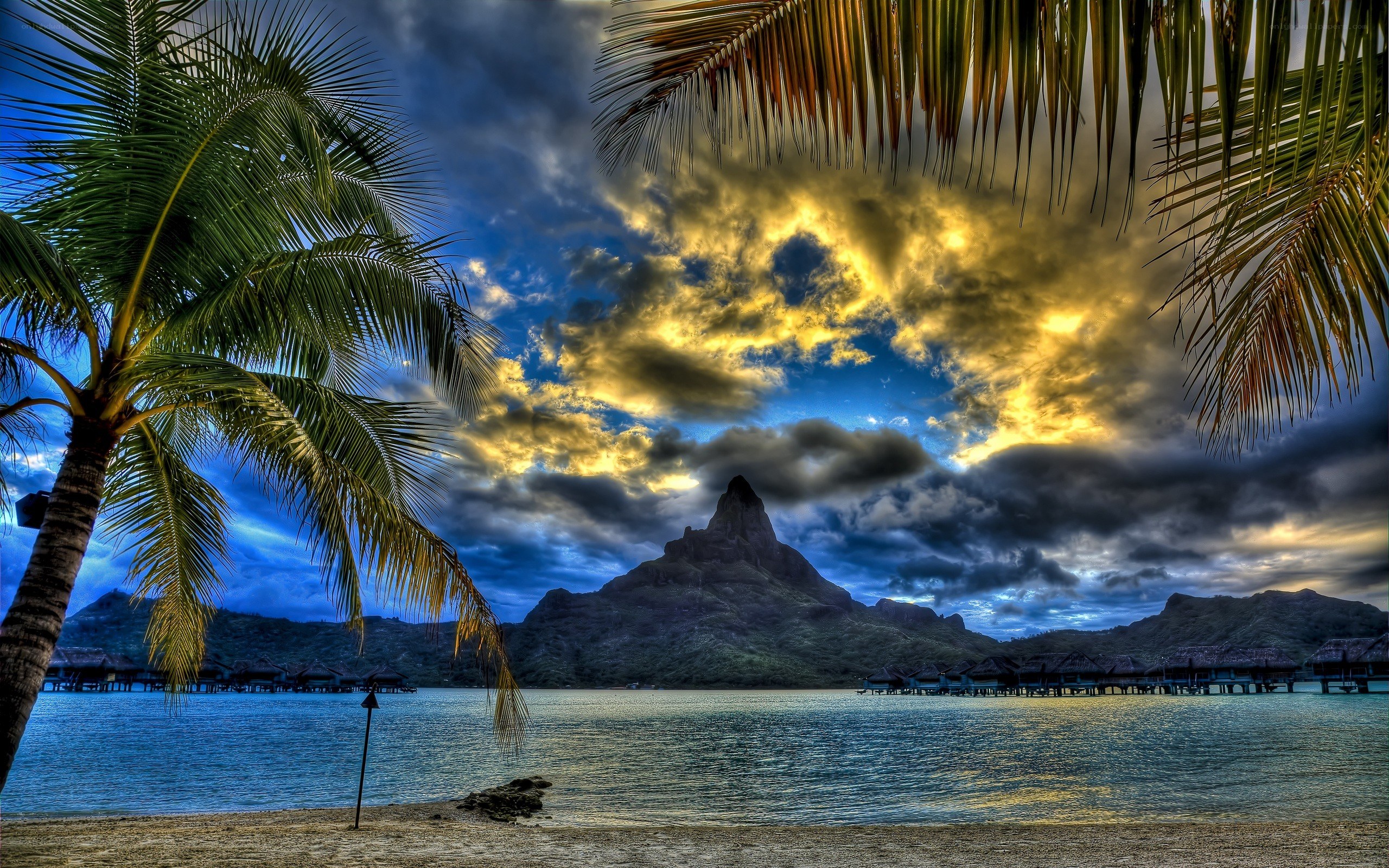 Tropical beach with palm trees