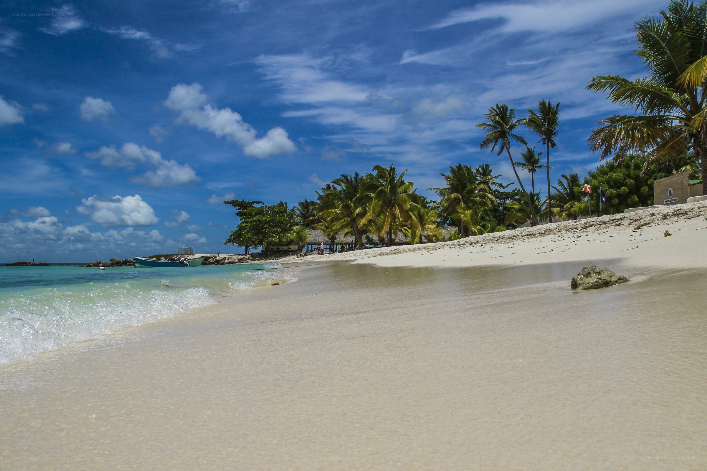 tropical beach with palm trees