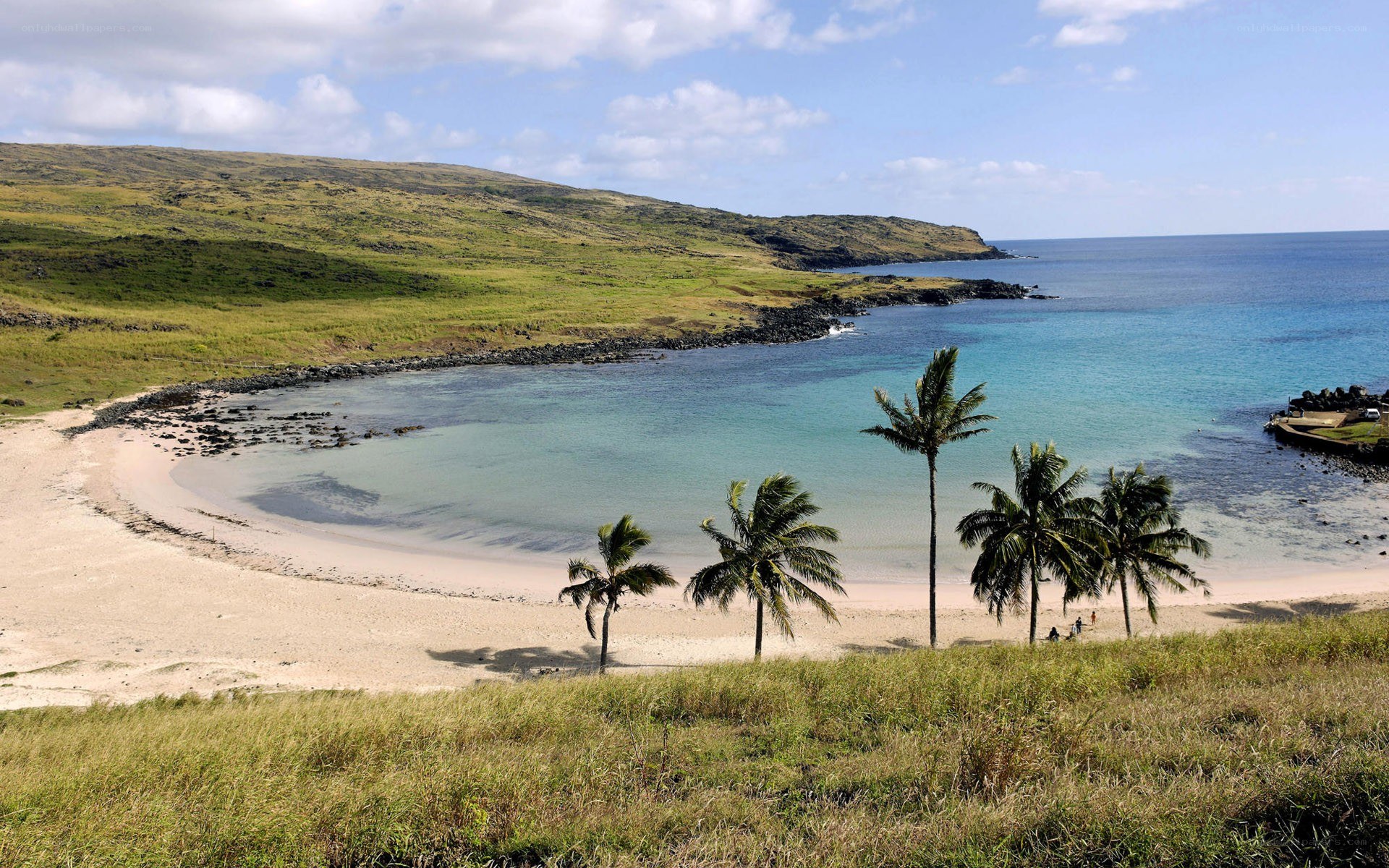 tropical beach with palm trees