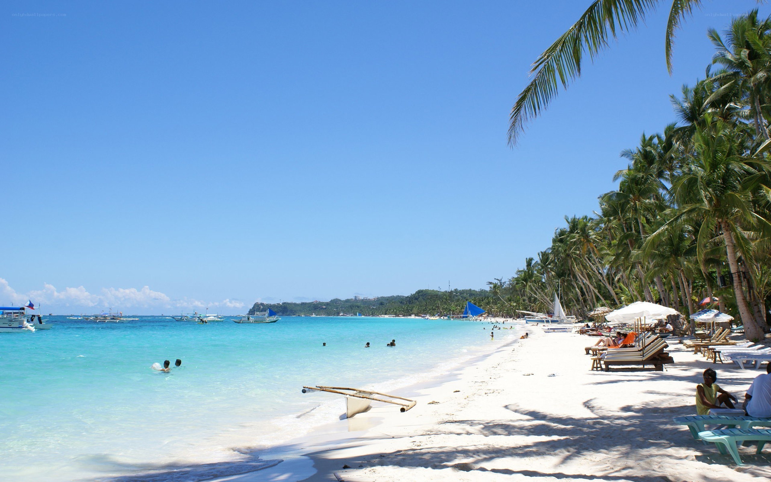 tropical beach with palm trees