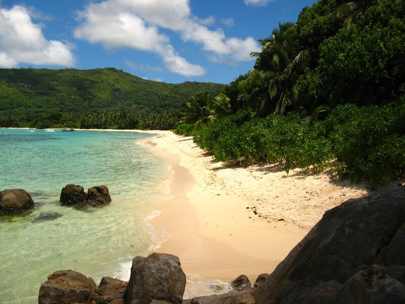 tropical beach with palm trees