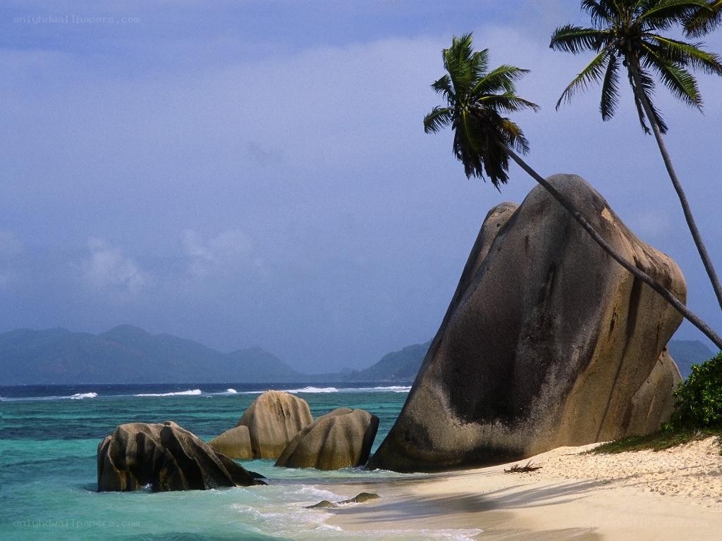 tropical beach with palm trees