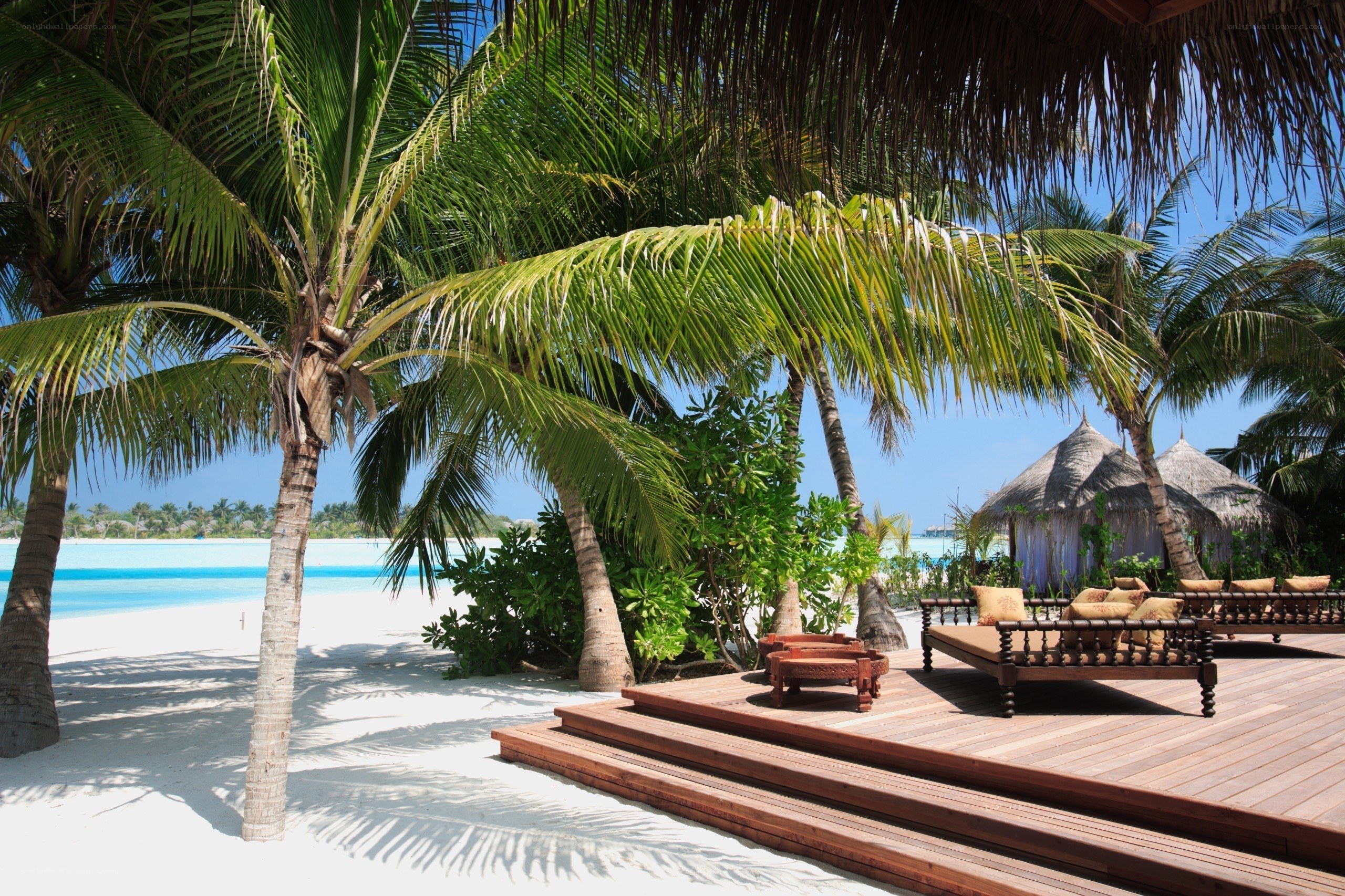 Tropical beach with palm trees
