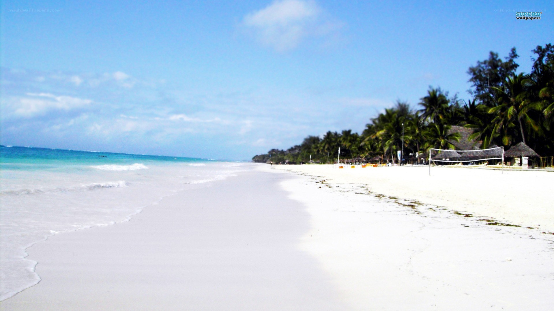 tropical beach with palm trees