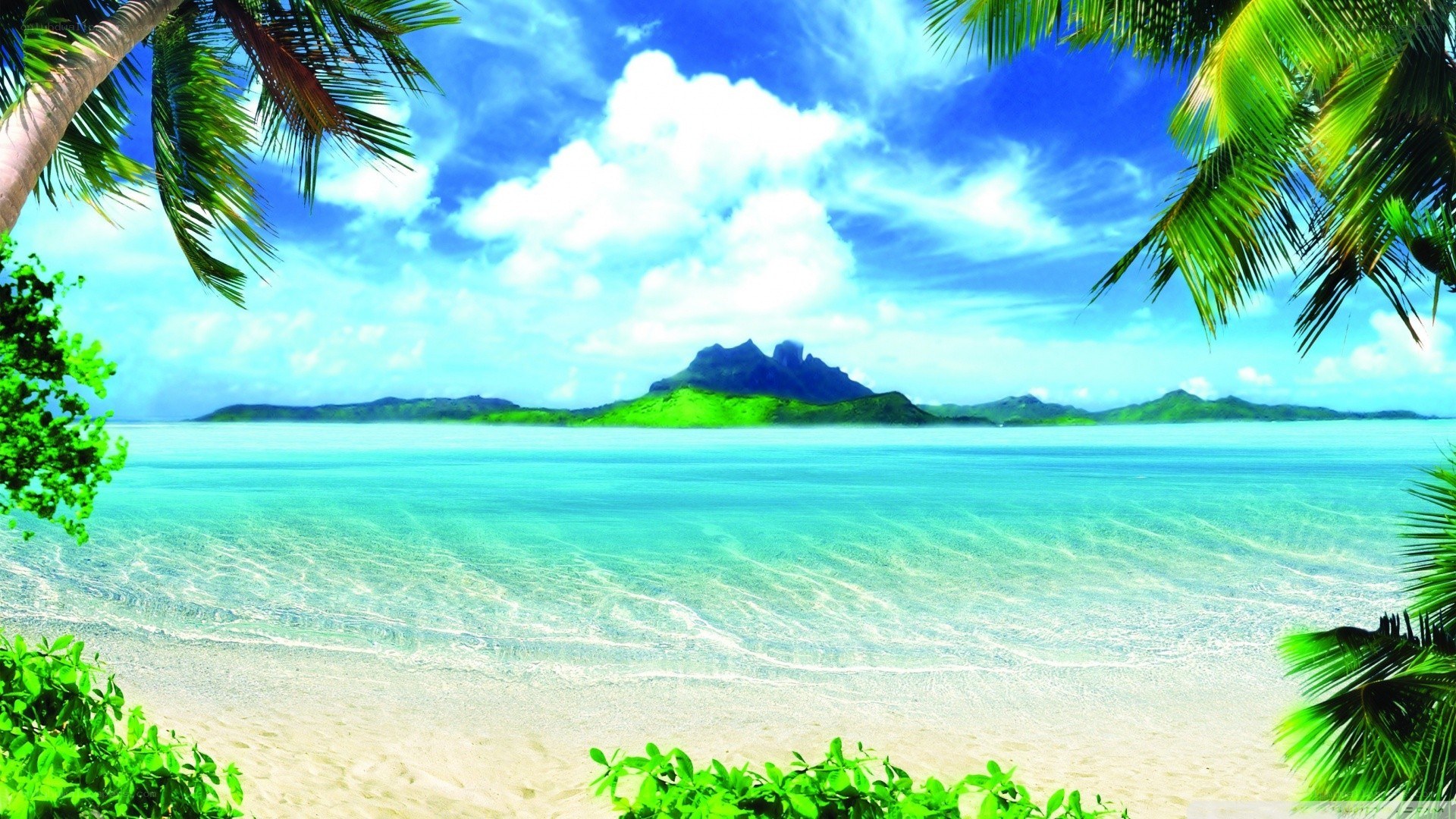 tropical beach with palm trees