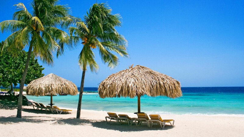 tropical beach with palm trees