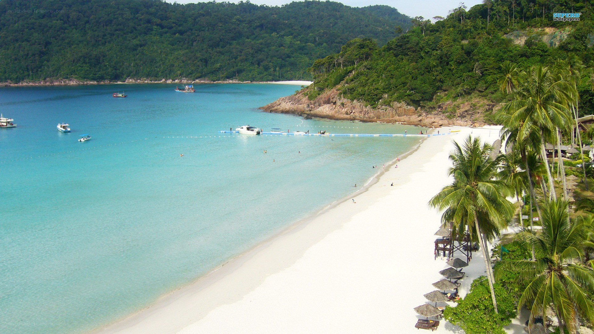 tropical beach with palm trees