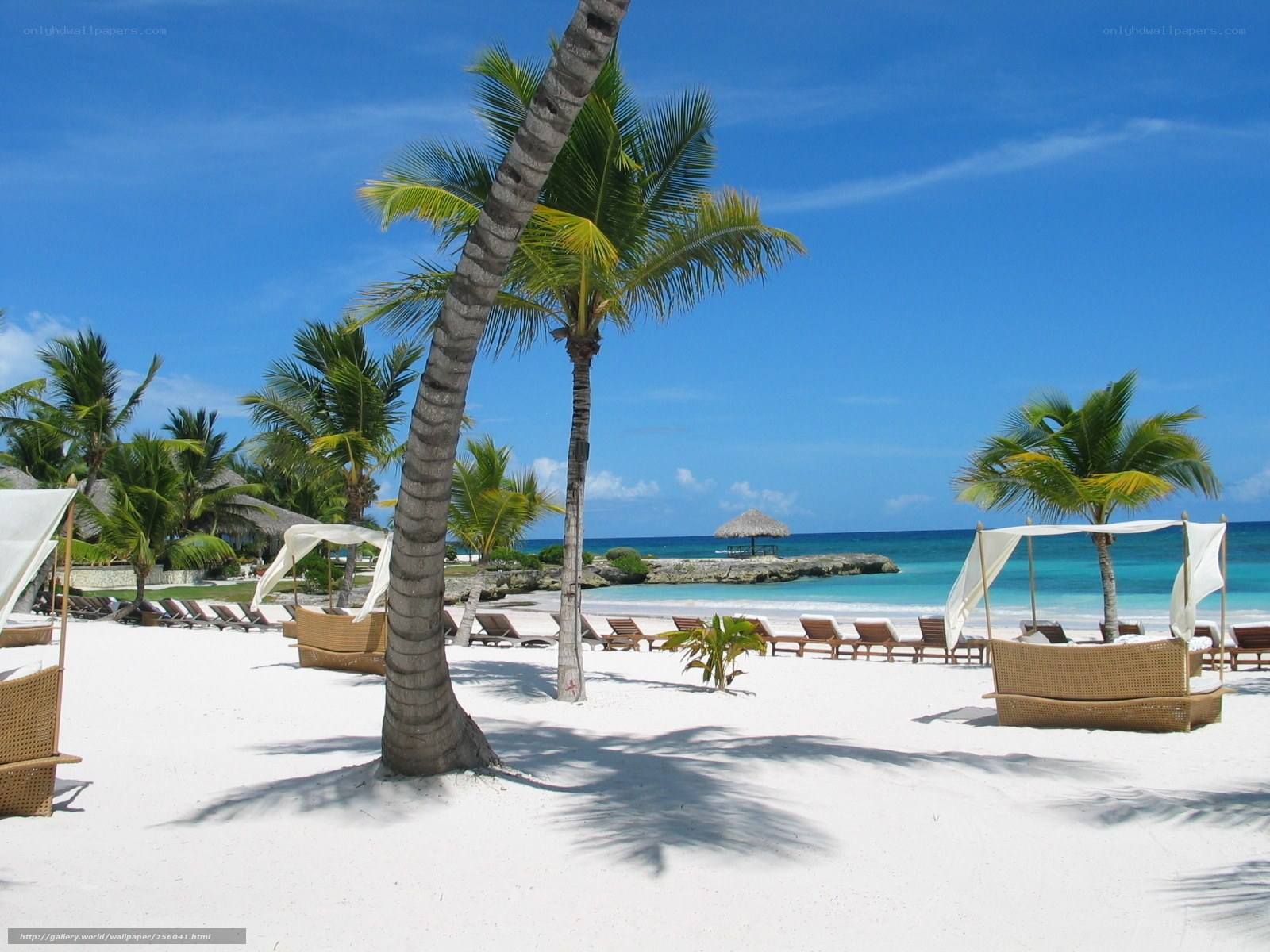 tropical beach with palm trees