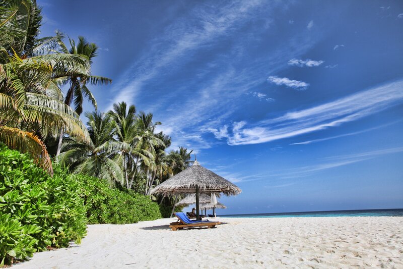 Tropical beach with palm trees