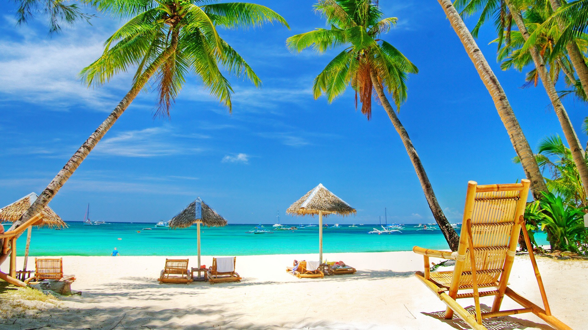 Tropical beach with palm trees