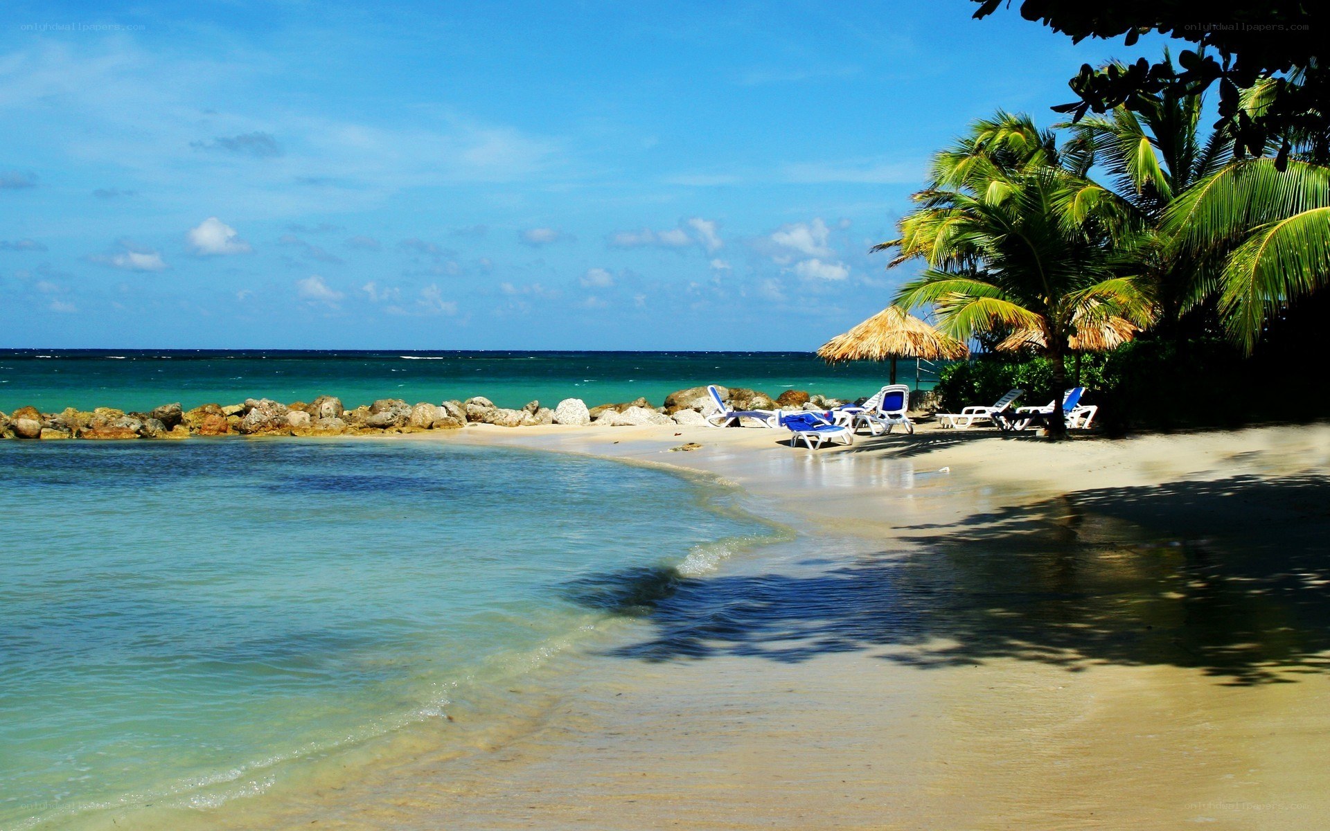 tropical beach with palm trees