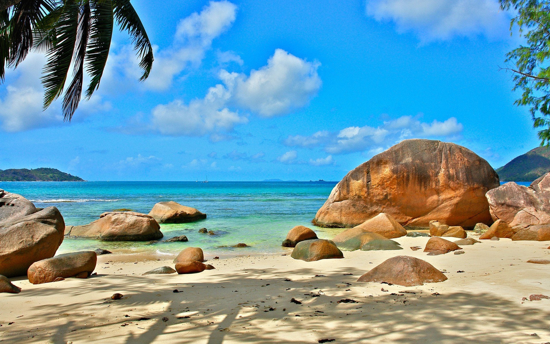 tropical beach with palm trees