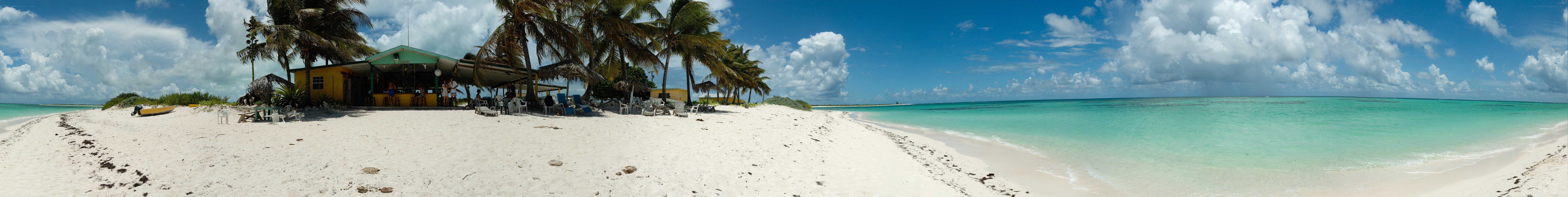 tropical beach with palm trees